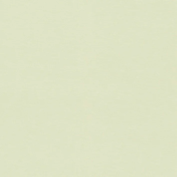 【レース】COUL(コウル) アプリコット - Image 12
