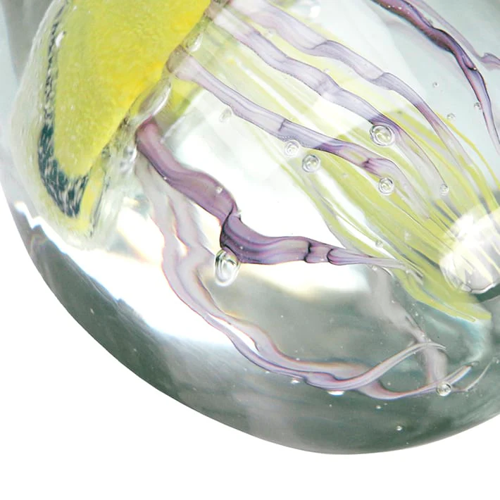 JELLYFISH TWISTED LEG Pebble/Yellow - Image 5